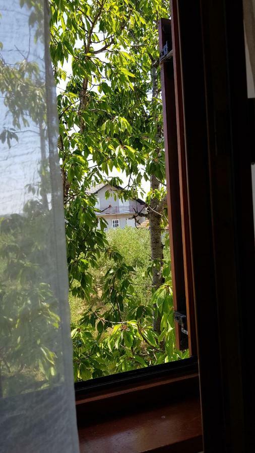 Villa Letina Sukošan エクステリア 写真